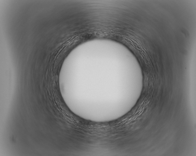 X0000113600865200909181107