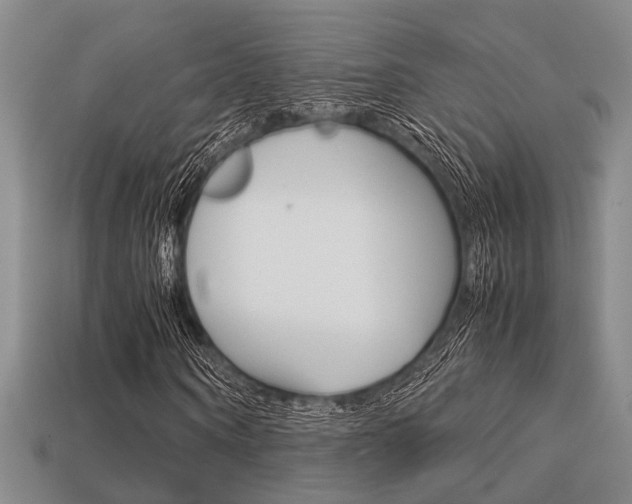 X0000113600866200909181107