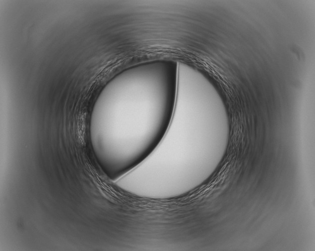 X0000113600868200909181107
