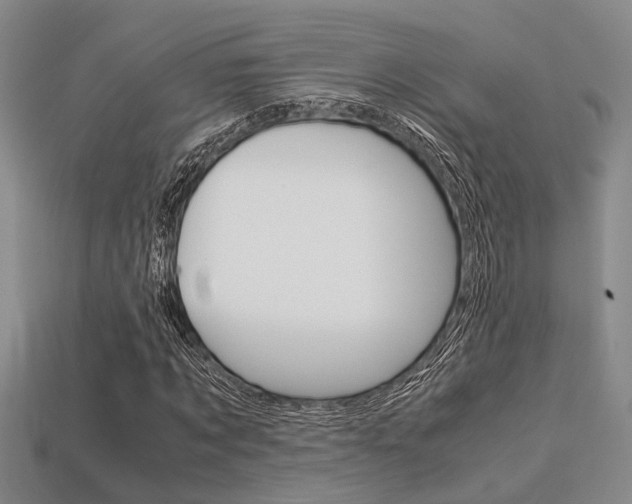X0000113600869200909181107