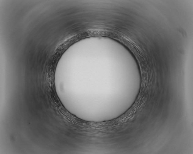 X0000113600870200909181107
