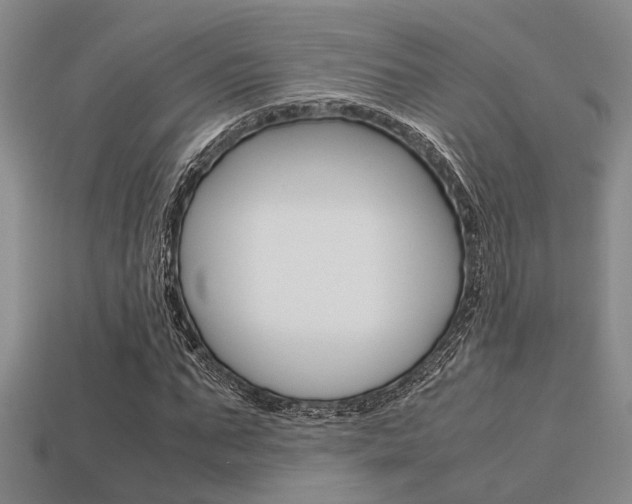 X0000113600871200909181107
