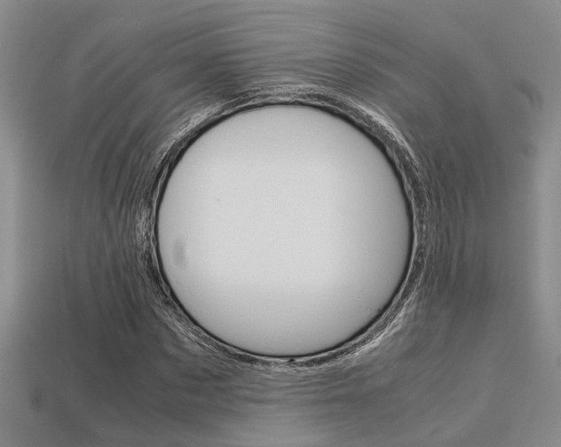 X0000113600873200909181107