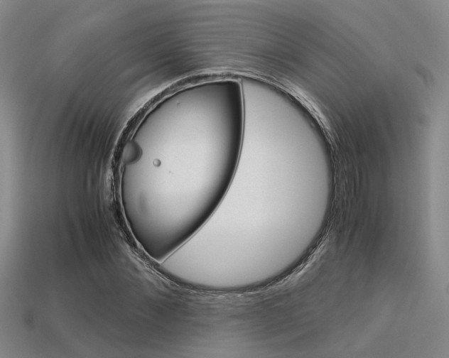 X0000113600876200909181107