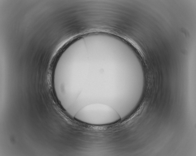 X0000113600878200909181107