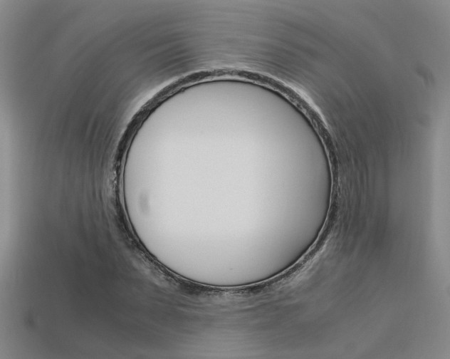 X0000113600879200909181107