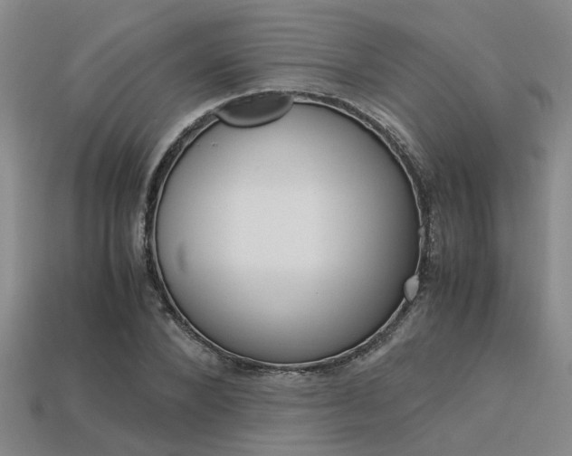 X0000113600880200909181107