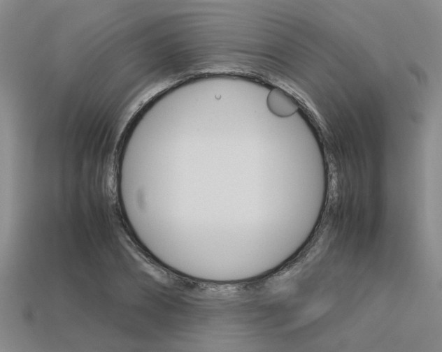 X0000113600882200909181107