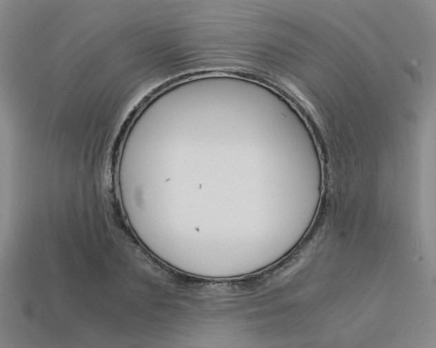 X0000113600883200909181107