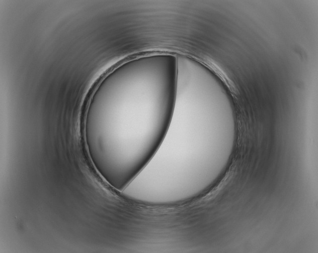 X0000113600884200909181107
