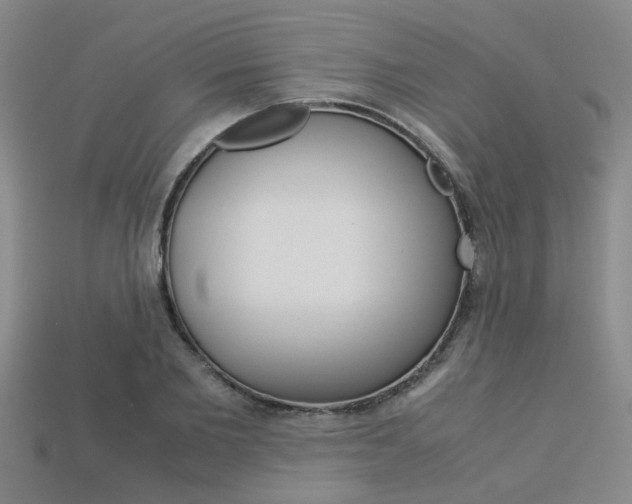 X0000113600885200909181107