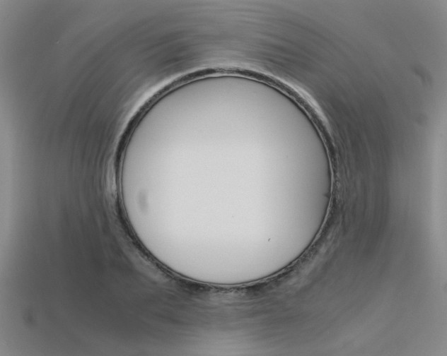 X0000113600887200909181106
