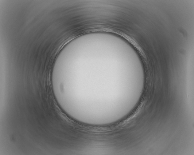 X0000113600889200909181106