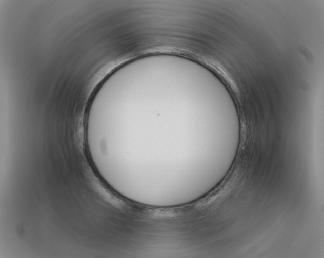 X0000113600890200909181106