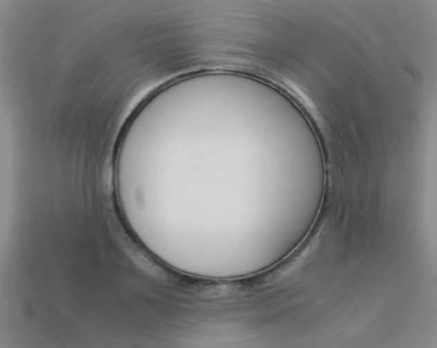 X0000113600891200909181106