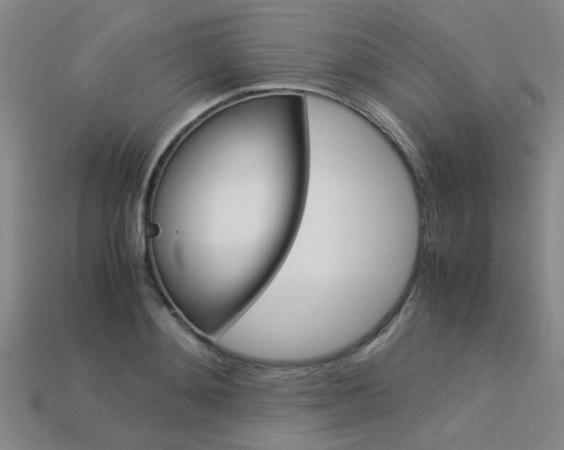 X0000113600892200909181106
