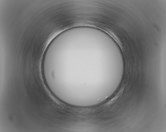 X0000113600893200909181106