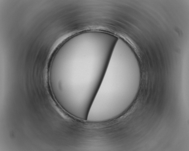 X0000113600894200909181106