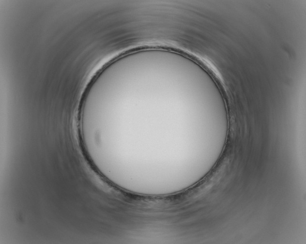 X0000113600895200909181106