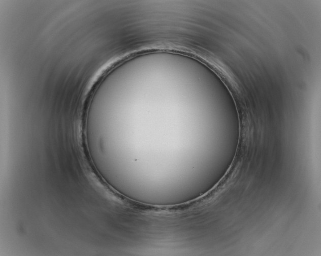 X0000113600896200909181106