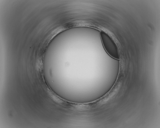 X0000113600897200909181106