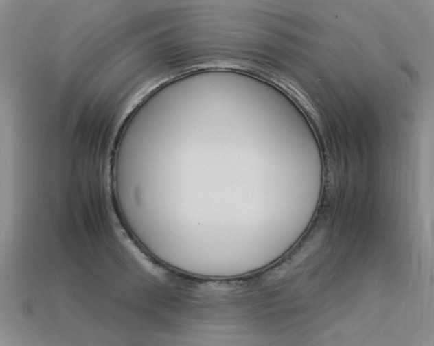 X0000113600898200909181106