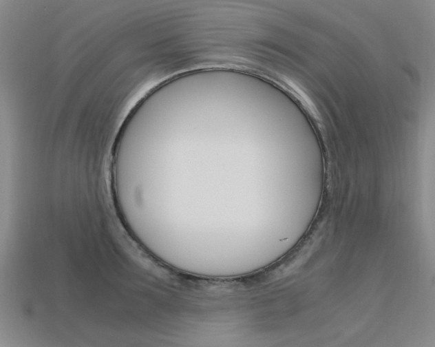 X0000113600899200909181106