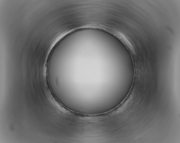 X0000113600900200909181106