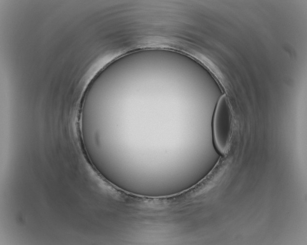 X0000113600901200909181106
