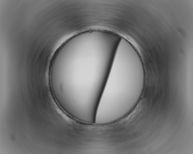 X0000113600902200909181106