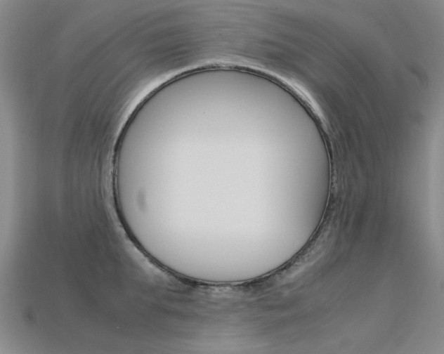 X0000113600903200909181106