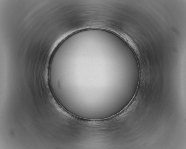 X0000113600904200909181106