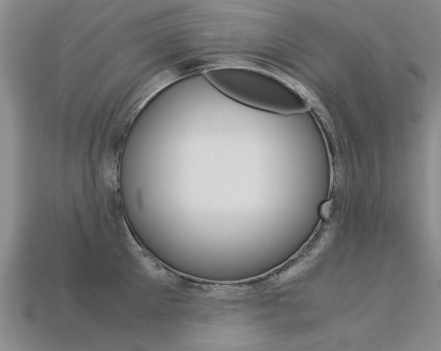 X0000113600905200909181106