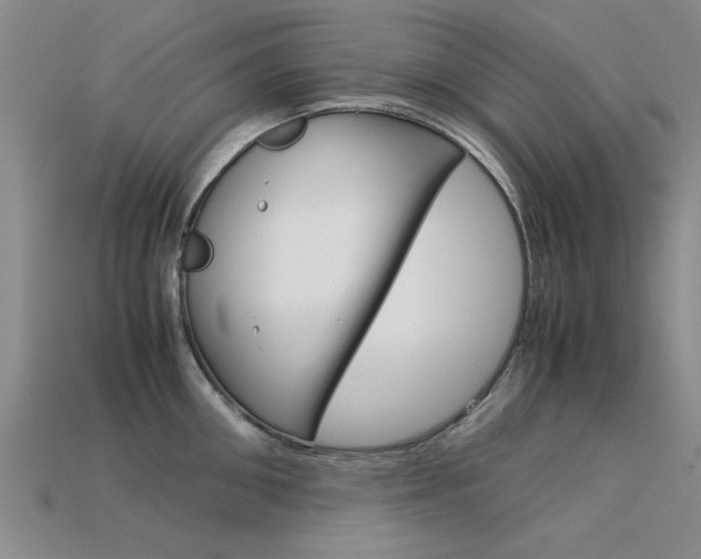 X0000113600906200909181106