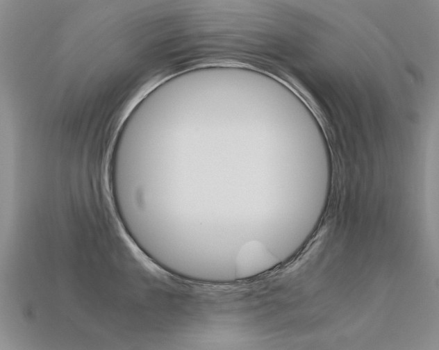X0000113600909200909181106