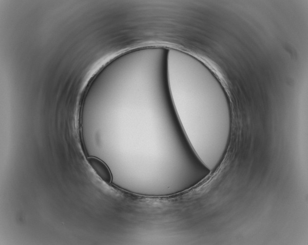 X0000113600910200909181106