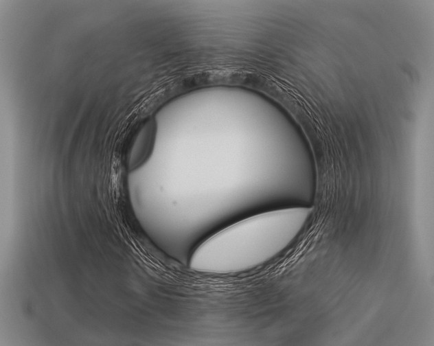 X0000113600914200909181106