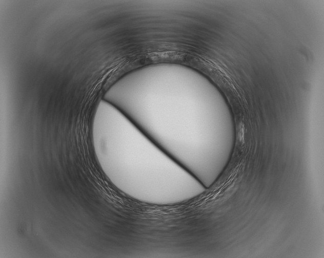 X0000113600915200909181106