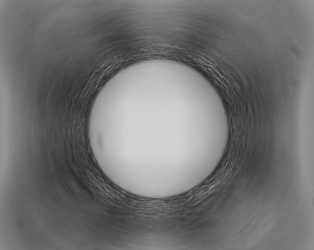 X0000113600916200909181106