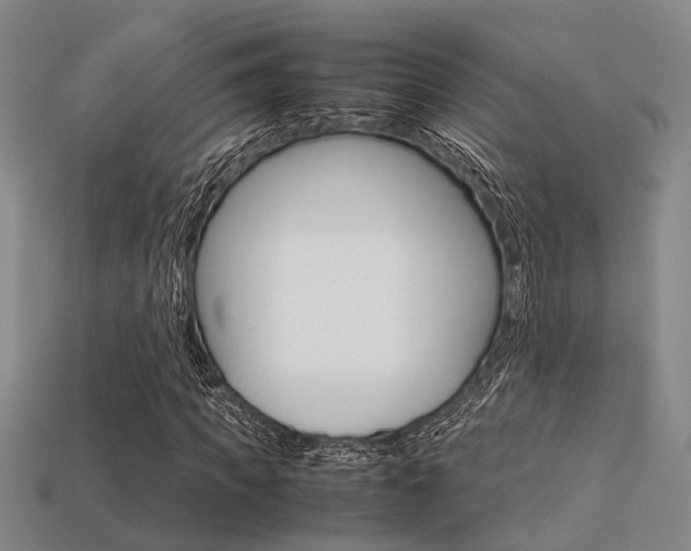 X0000113600917200909181106