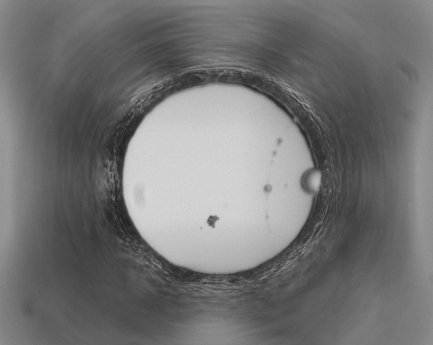 X0000113600918200909181106