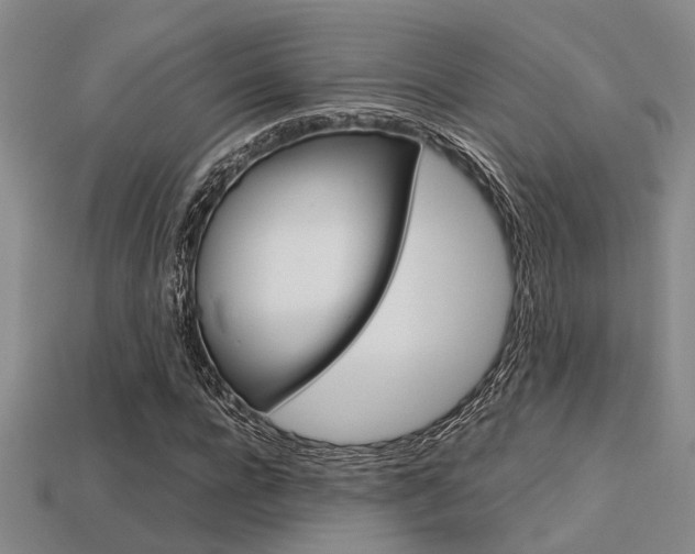 X0000113600920200909181106