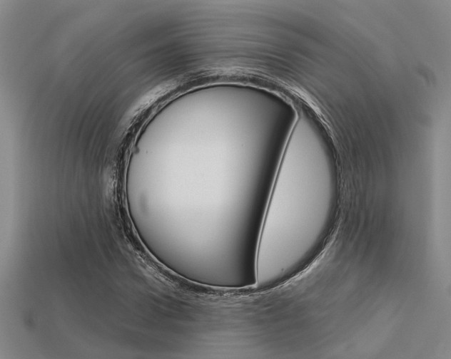 X0000113600922200909181106