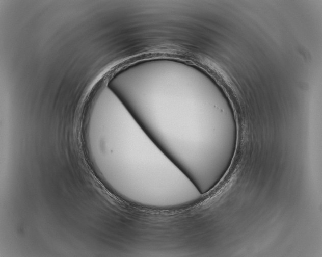X0000113600923200909181106