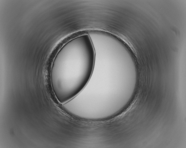 X0000113600926200909181106