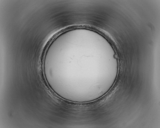 X0000113600927200909181106
