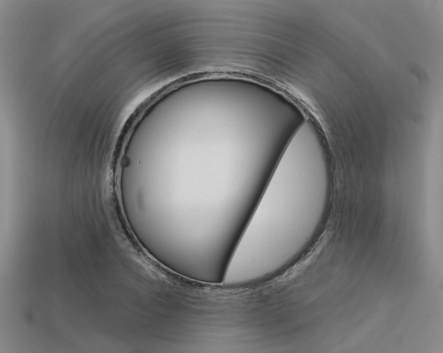 X0000113600928200909181106