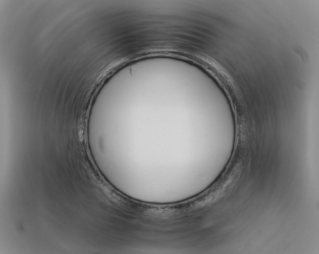 X0000113600929200909181106
