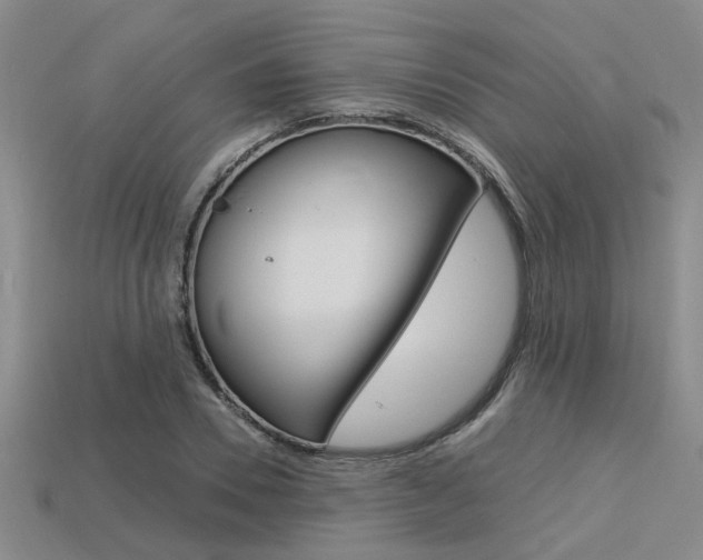 X0000113600930200909181106