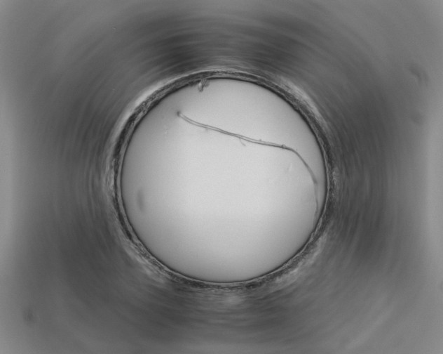 X0000113600931200909181106